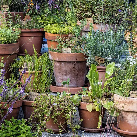 Hotel Gletscherblick