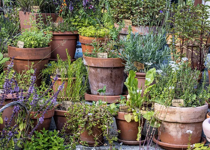 Hotel Gletscherblick