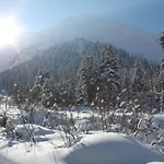 Gletscherblick Ξενοδοχείο Sankt Leonhard im Pitztal